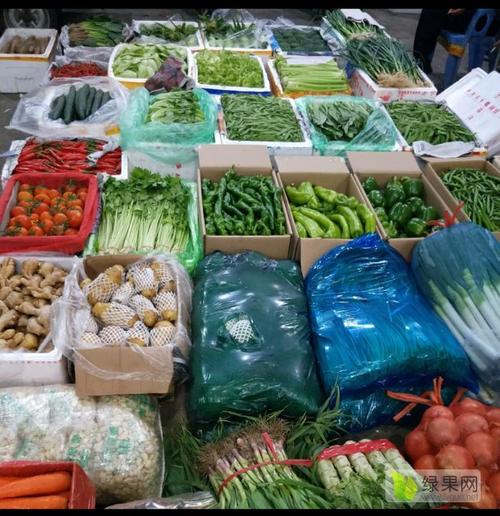 汕头农副产品批发市场升裕蔬菜批发行白菜甘蓝采购指南